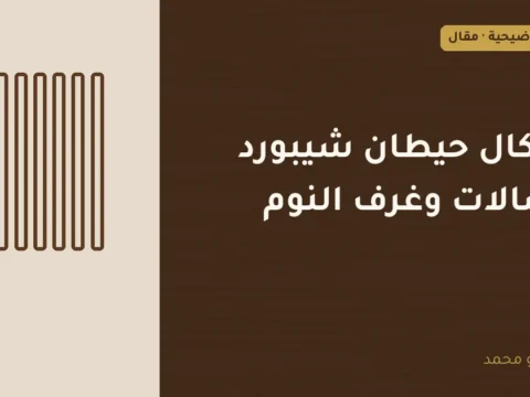 غلاف توضيحي مصمم لمقال: أشكال حيطان شيبورد للصالات وغرف النوم